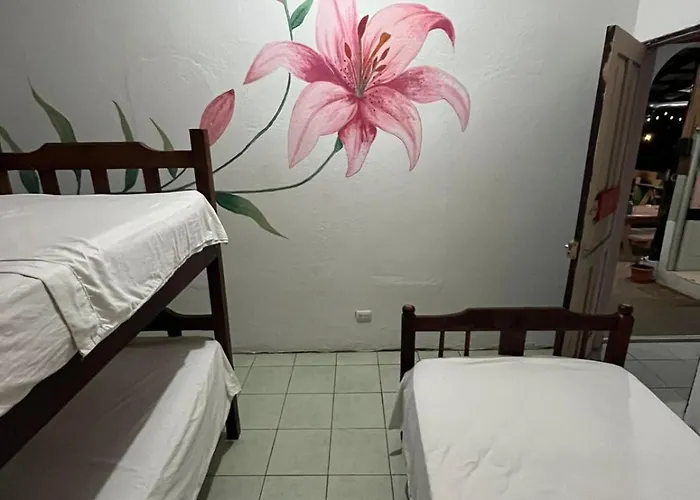 Hostel Tsunami *