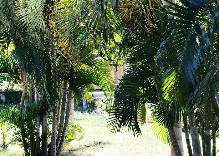 Hostel Tsunami Tamarindo