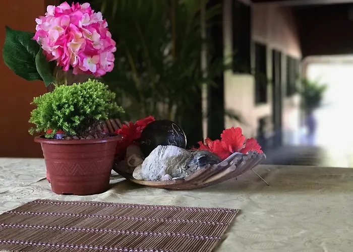 Tsunami Hostel