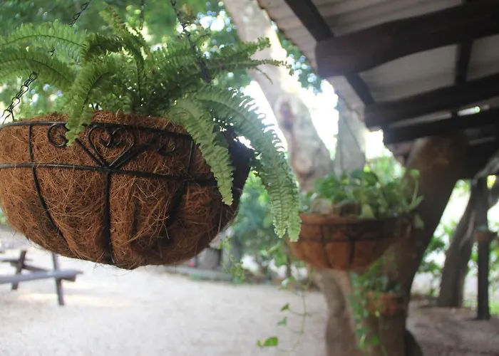 Tsunami Hostel Tamarindo
